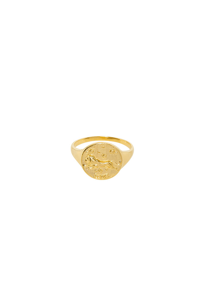 Leo Stargazer Zodiac Ring